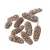Birch pine szárított falfestékes salmon 18dkg/csom