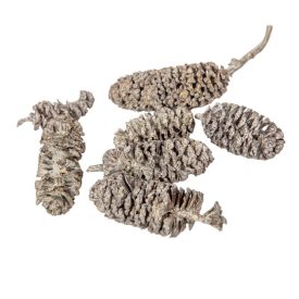 Birch pine szárított falfestékes mud green 18dkg/csom Birch pine szárított falfestékes mud green 18dkg/csom