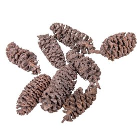 Birch pine szárított falfestékes old pink 18dkg/csom Birch pine szárított falfestékes old pink 18dkg/csom