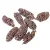 Birch pine szárított falfestékes old pink 18dkg/csom