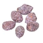 Cane bogyós termés falfestékes mauve 15dkg/csom