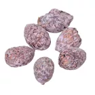 Cane bogyós termés falfestékes mauve 15dkg/csom