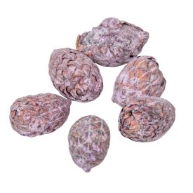 Cane bogyós termés falfestékes mauve 15dkg/csom Cane bogyós termés falfestékes mauve 15dkg/csom