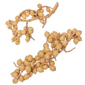 Canella cutting bogyós termés natúr 17dkg/csom Canella cutting bogyós termés natúr 17dkg/csom