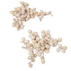 Canella cutting bogyós termés havas fehér 15dkg/csom