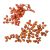 Canella cutting bogyós termés terracotta 15dkg/csom