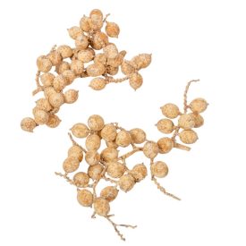 Canella cutting bogyós termés falfestékes salmon 15dkg/csom   Canella cutting bogyós termés falfestékes salmon 15dkg/csom