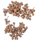 Canella cutting bogyós termés falfestékes old pink 15dkg/csom