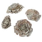 Cédrus rózsa falfestékes mud zöld 17dkg/csom