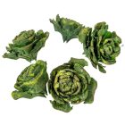 Cédrus rózsa zöld 17dkg/csom