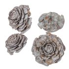 Cédrus rózsa zuzmarás szürke 5-7cm 17dkg/csom