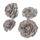 Cédrus rózsa zuzmarás szürke 5-7cm 17dkg/csom