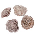 Cédrus rózsa zuzmarás fehér 5-7cm 17dkg/csom