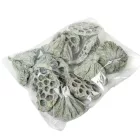 Lótusz 5-8cm falfestékes mud zöld 12db-os