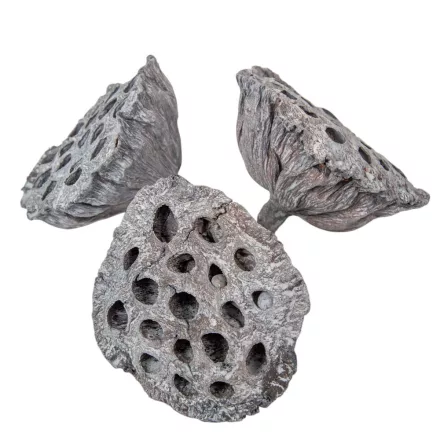 Lótusz 8-10cm falfestékes zöld 10db-os