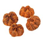 Fokhagyma termés narancs 16 dkg/csom