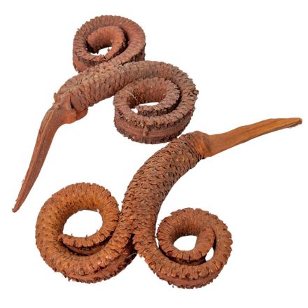 Kos szarv szárított falfestékes terracotta 6db-os