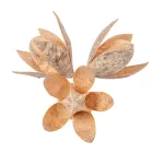 Wild lily falfestékes salmon 9db-os