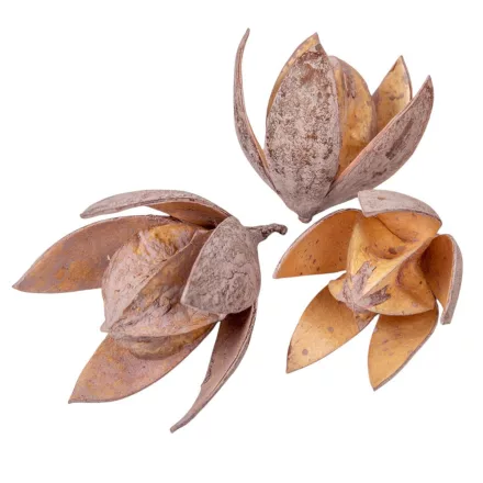 Wild lily falfestékes old pink 9db-os