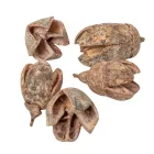 Bakuli szárított falsestékes terracotta 20 dkg/csom