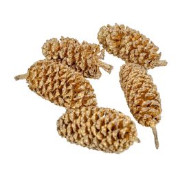 Birch pine pezsgő 15dkg/csomag Birch pine pezsgő 15dkg/csomag