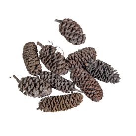 Birch pine szürke 21dkg/csomag Birch pine szürke 21dkg/csomag