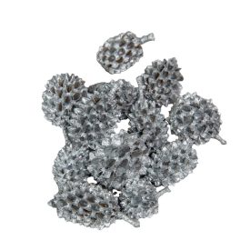 Casuarina ezüst 17dkg/csomag Casuarina ezüst 17dkg/csomag