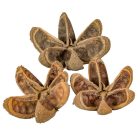 Vad narancs szárított natúr 14db-os