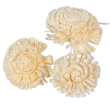 Ming kadam szegfű 6cm 25db-os