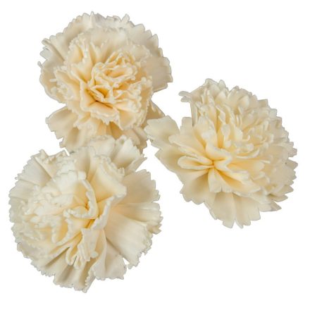 Ming szegfű 6cm 25db-os