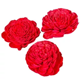 Ming boglárka piros 6cm 25db-os csomag