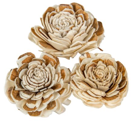 Ming boglárka vegyes 4cm 50db-os