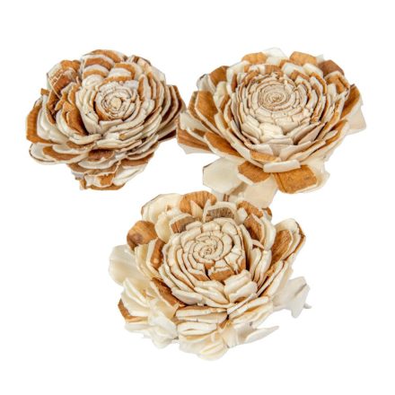 Ming boglárka vegyes 6cm 25db-os