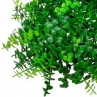 Koszorú eukaliptusz 24cm