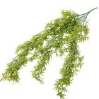 Rozmaring futó 80cm