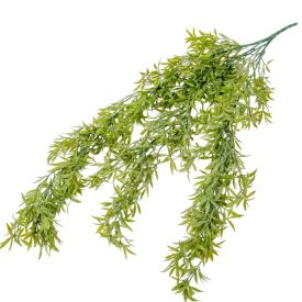 Rozmaring futó 80cm