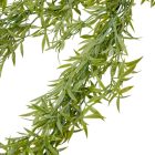Rozmaring futó 80cm