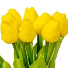 Tulipán köteg gumi 10 virágos sárga 33cm