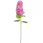 Orgona szálas gumi lila 80cm