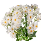 Margaréta csokor 18 ág fehér 38cm