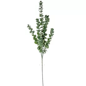 Eukaliptusz ág 90cm