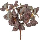 Leveles bokor 6 ágú 30cm