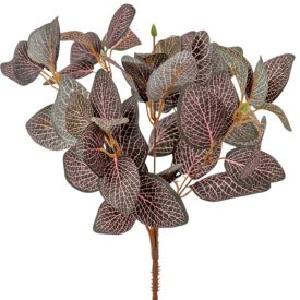 Leveles bokor 6 ágú 30cm