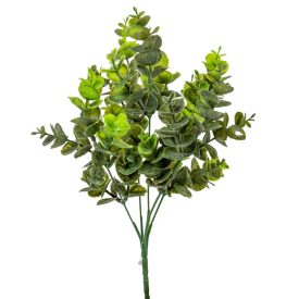 Eukaliptusz bokor 5 ágú 35cm Eukaliptusz bokor 5 ágú 35cm