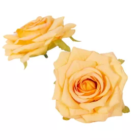 Rózsa virágfej barack 10cm