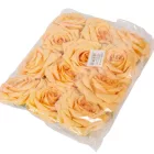 Rózsa virágfej barack 10cm