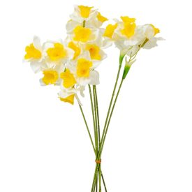 Nárcisz köteg 6virágos 45cm Nárcisz köteg 6virágos 45cm