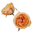 Boglárka virágfej 6cm sárga 4 darabos csomagban rendelhető (darab ár!)