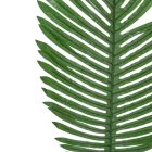 Pálma levél 86cm