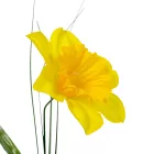Nárcisz szális 44cm 6 darabos csomagban rendelhető (darab ár!)